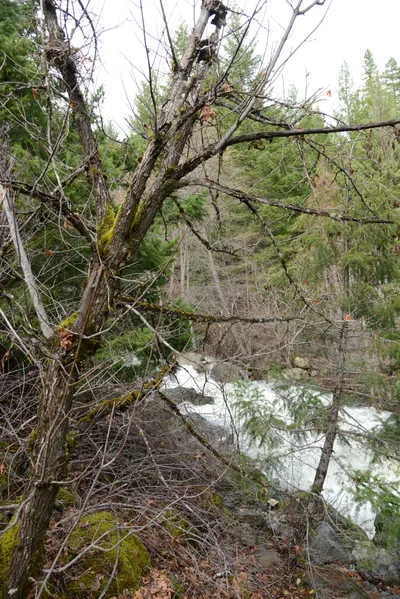 DSC_0892 (Large).JPG